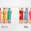 PSYNA PIHU 2 - Image 11