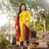 MAYUR मेहफ़िल - Image 8