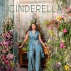 ANJU FABRICS CINDERELLA vol 3 - Image 2