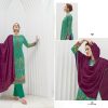 ALOK SUIT PAALKI edition 3 - Image 7